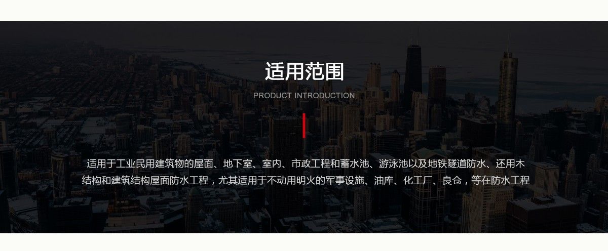 自粘聚合物無(wú)胎防水卷材_04.jpg